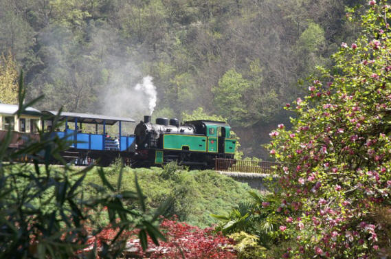 Le petit train touristique du Gard Le petit train touristique du Gard