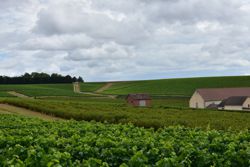 Clic pour élargir #